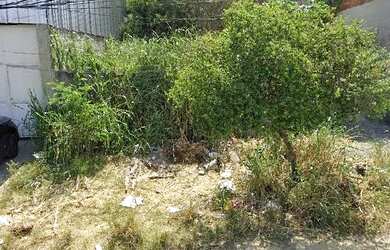 Imagem: O terreno possui 258m² de Área e está localizado em Campo