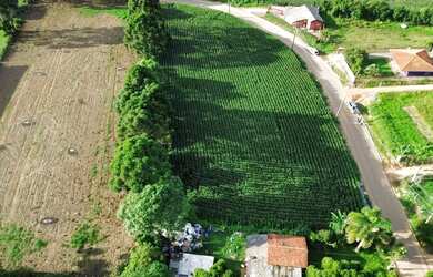 Imagem 7: Área 5.600 m² para venda em Almirante Tamandaré