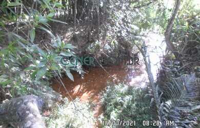 Imagem 9: EXTRAORDIONÁRIO TERRENO DE 35,6 HA PARA LAVOURA EM CARANDAI/MG