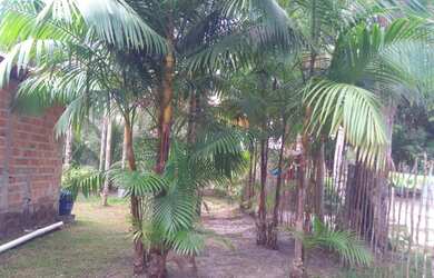 Imagem: A casa possui 2 Dormitórios, 1 Banheiro e está localizado