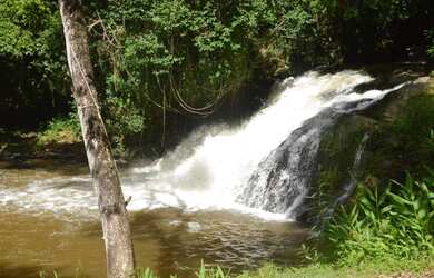 Imagem 13: Terrenos ricos em água