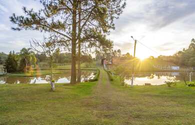 Imagem: A fazenda possui 300m² de Área, Varanda, Guarda roupa, Lareira