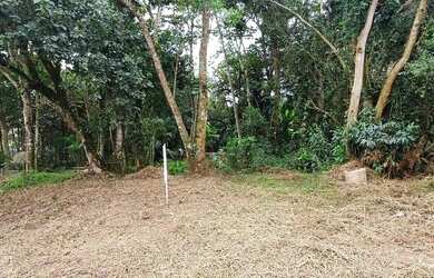 Imagem 5: Lote Residencial. 360m² de Área