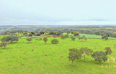 Imagem 13: Fazenda Excelente em Luziânia Goiás - Localização A 10 km de Luziânia
