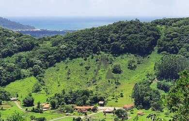 Imagem 15: Terreno à venda, 2 Ha por R$ 1.650.000 - Ressacada - Garopaba/SC