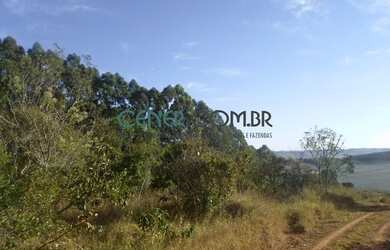 Imagem 2: EXTRAORDIONÁRIO TERRENO DE 35,6 HA PARA LAVOURA EM CARANDAI/MG