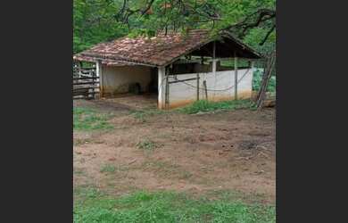 Imagem 6: Vendo sitio 14 alqueires localizado em Colônia, São Fidélis/Rj