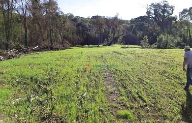 Imagem 11: Fazenda à venda, 120 alqueires por R$ 4.200.000 - Guará - Guarapuava/PR
