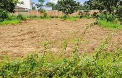 Imagem: O terreno possui 700m² de Área e está localizado em Graciosa