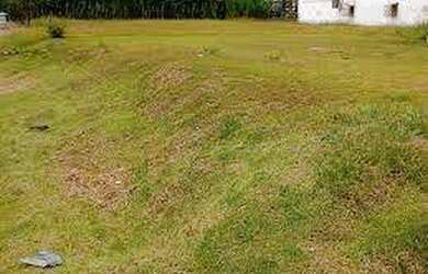 Imagem 7: Terreno Plano. 2.921m² de Área