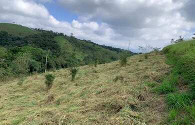 Imagem 10: LOTE COM VISTA PARA O LAGO