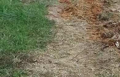 Imagem: O terreno possui 162m² de Área e está localizado em Itaparica