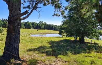 Imagem: Sitio - Bairro Saiqui