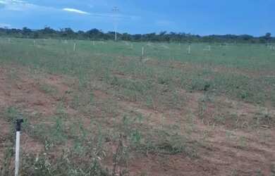 Imagem 3: Vende-se uma excelente fazenda de 180 hectares