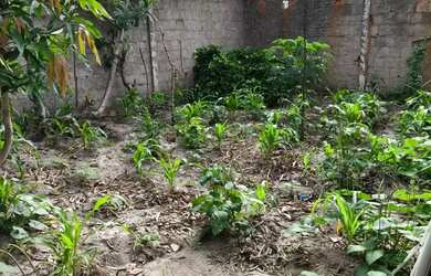 Imagem 7: Casa à venda em rua pública, BARRA NOVA, Marechal Deodoro, AL
