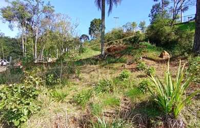 Imagem 5: Terreno - Bairro Vale dos Pinheiros