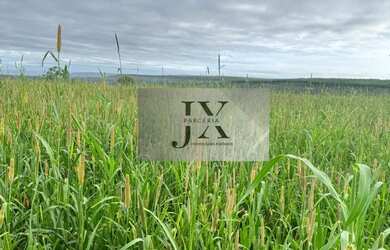 Imagem 15: Fazenda em Andrequicé. Churrasqueira, Varandae900.000.000m² de Área