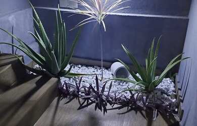 Imagem 2: Casa no bairro residencial visão lagoa Santa