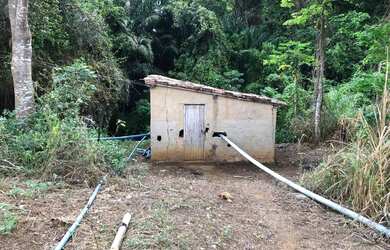 Imagem 9: FAZENDA A VENDA. 
