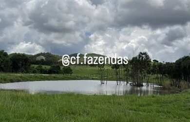 Imagem 1: Fazenda à venda em Goiás-Go