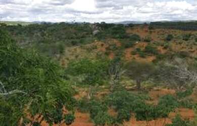 Imagem 5: Fazenda em poções BA. 250.000m² de Área Privada