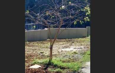 Imagem: O terreno possui 182m² de Área e está localizado em Portão