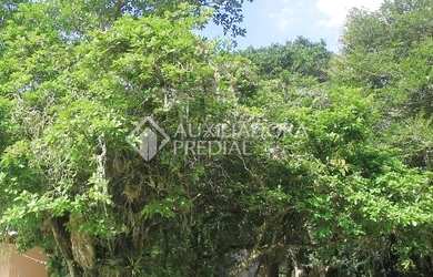 Imagem 4: TAPES - Casa Padrão - Centro