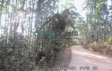 Imagem 3: EXTRAORDIONÁRIO TERRENO DE 35,6 HA PARA LAVOURA EM CARANDAI/MG