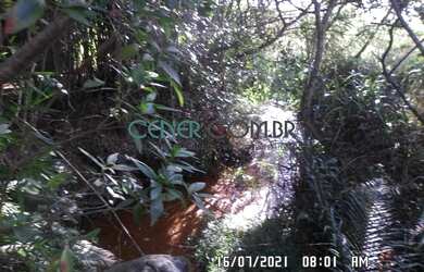 Imagem 7: EXTRAORDIONÁRIO TERRENO DE 35,6 HA PARA LAVOURA EM CARANDAI/MG