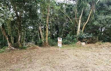 Imagem 3: Lote Residencial. 360m² de Área