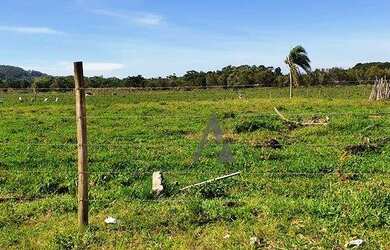 Imagem 5: Terreno à venda, 113940 m² por R$ 7.980.000,00 - Ressacada - Garopaba/SC