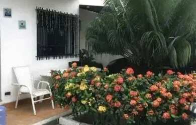 Imagem 15: Imóvel para venda tem 120 metros quadrados com 2 quartos em da Luz -...