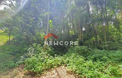 Imagem 7: Lote em condomínio em Alameda Bem-te-vi - Jardim Itatiaia - Embu das Artes/SP