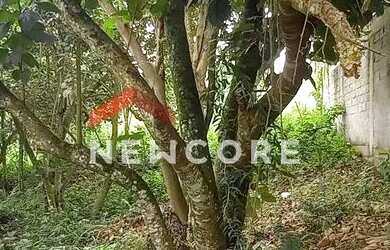 Imagem 3: Lote em condomínio em Rua Biritiba Mirim - Paisagem Renoir - Cotia/SP