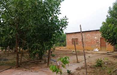 Imagem 12: Vendo terreno. 1.000m² de Área