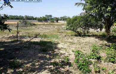 Imagem: O terreno possui 7.000m² de Área e está localizado em Ulisses