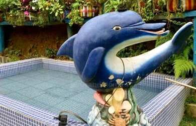 Imagem: A fazenda possui 3000m² de Área e está localizado em Domingos