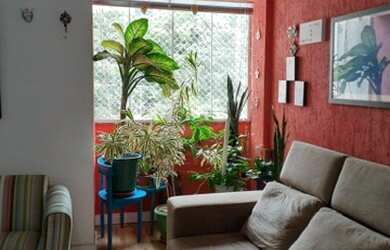 Imagem 5: Apartamento com 2 dormitórios à venda, 68 m² por R$ 252.000,00 - Azenha...