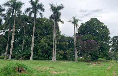 Imagem 12: Terreno à venda, Condomínio Jardim das Palmeiras, Bragança Paulista,...