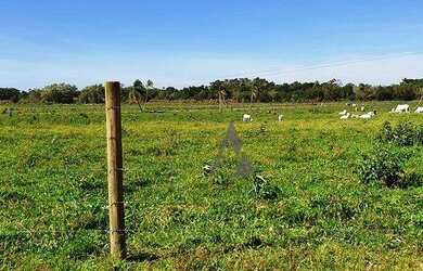 Imagem 7: Terreno à venda, 113940 m² por R$ 7.980.000,00 - Ressacada - Garopaba/SC