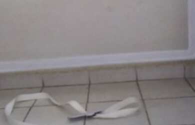 Imagem 4: Aluguel. E vendas. 42m² de Área, 1 Vaga na garageme2 Dormitórios