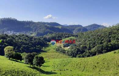 Imagem 12: Terreno à venda, 166613 m² por R$ 1.330.000,00 - Riograndina - Nova...