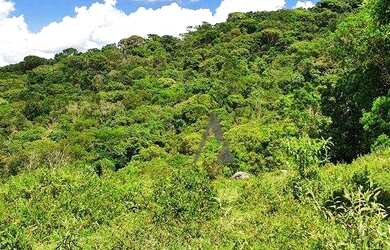 Imagem 5: Terreno à venda, 2 Ha por R$ 1.650.000 - Ressacada - Garopaba/SC