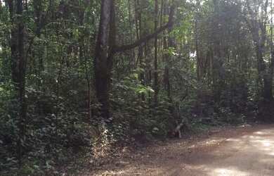 Imagem: O terreno possui 1.000m² de Área e está localizado em Sao