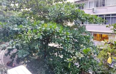 Imagem 4: Apartamento para aluguel com 80 metros quadrados com 2 quartos em Copacabana...