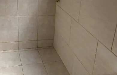 Imagem: O apartamento possui 3 Dormitórios, 1 Banheiro e 60m² de Área