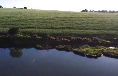 Imagem 13: Sítio com 11 alqueires para agricultura Nogueira Imóveis Rurais