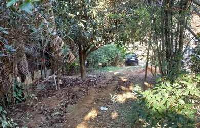 Imagem 4: Chácara c/ casa simples no bairro Genebra próx. a Brigadeiro Tobias....