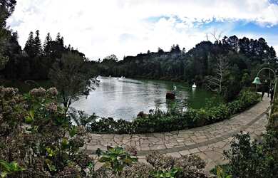 Imagem 8: Terreno - Bairro Floresta