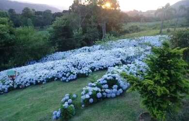 Imagem 2: Sítio - Bairro Carazal. 111.900m² de Área